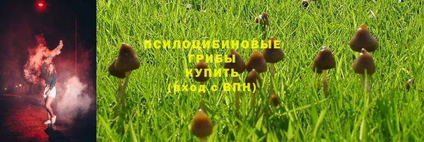 трава Алексеевка