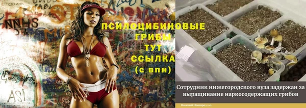 spice Алексин