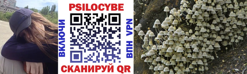 площадка состав Бабушкин Псилоцибиновые грибы MAGIC MUSHROOMS